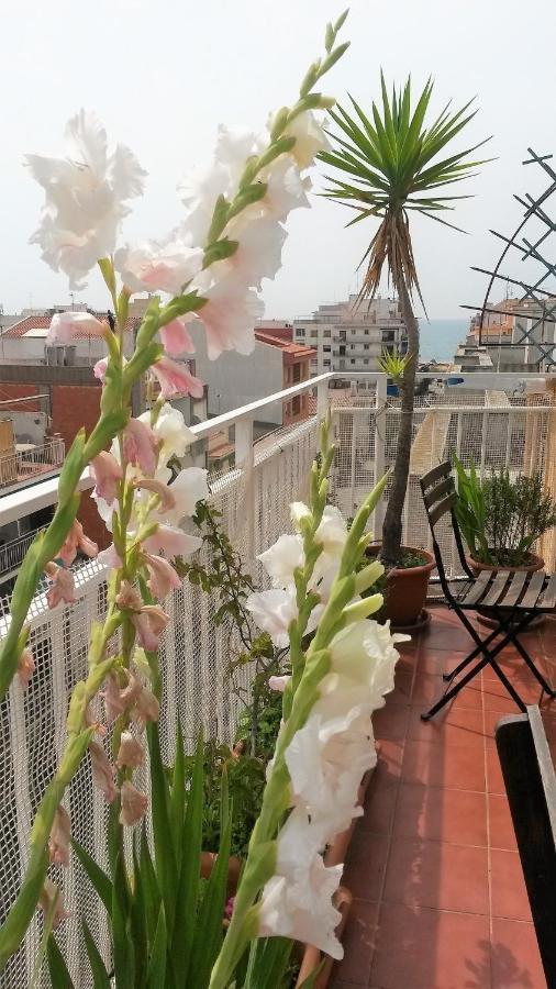Apartamento Mediterraneo Pineda de Mar Exterior photo